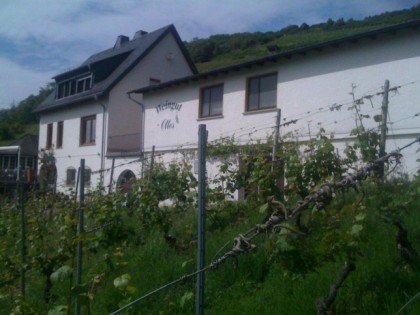 Photo: Weingut Ottes